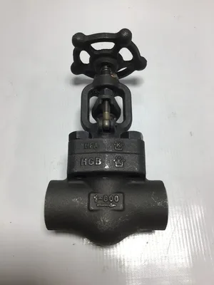 Emerson/Hancock SA105 7221401 Cast Iron Gate Valve Size 1″ CR13 Class 800