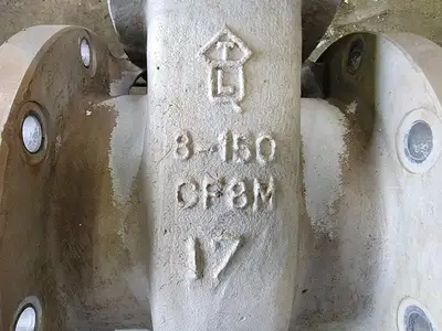 USED TLV CF8M