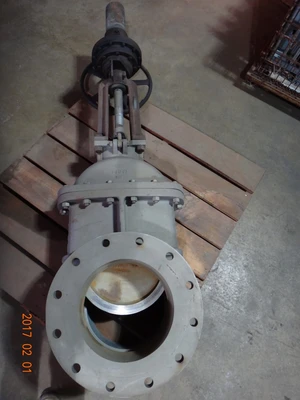 Powell 14", Class 150, CF8M, Gate Valve