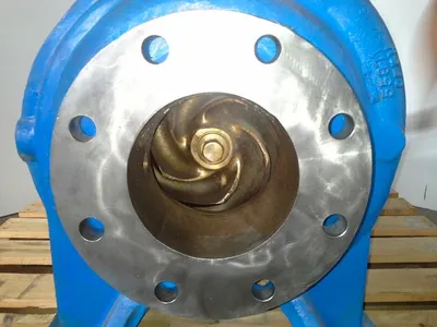 USED Goulds 3175