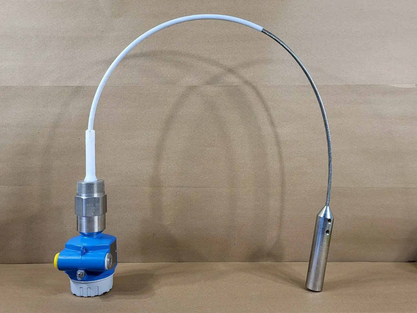 NEW ENDRESS+HAUSER FTI56-NAA2RGJ43D1A