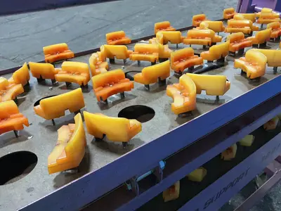 Used ARGUS _UNKNOWN_ Distribution and Warehouse Trolleys Ohio US | HGR 24 #1358174