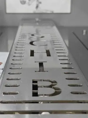 Schib High Speed Horizontal Flow Wrapper