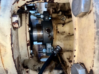 USED Goulds 3175