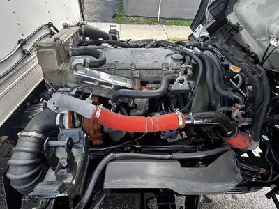 Used 2019 ISUZU NQR Reefer Trucks Florida US | Truck and Van Outlet #1509194
