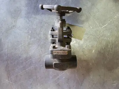 1" Class 800 Globe Valve API 602