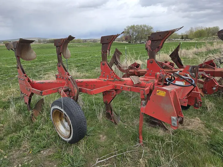 Used MASSEY FERGUSON 570 Moldboard Plows Idaho US | Berry Machinery #1130078