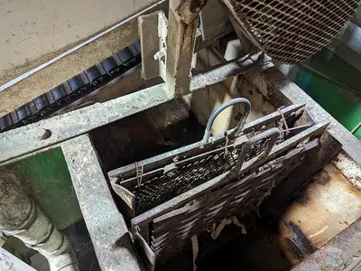 Pumpkin Squash Inspection & Cleaning Line