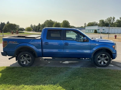 Used 2013 FORD F-150 Pickup Trucks Michigan US | Miedema Asset Management Group #1320376