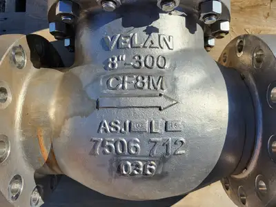 8" Class 300 Check Valve B16.34