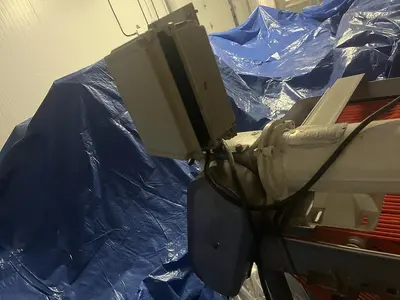 Berry Sizing Conveyor