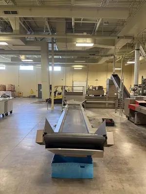 USED ALLEGHENY SORTING CONVEYOR