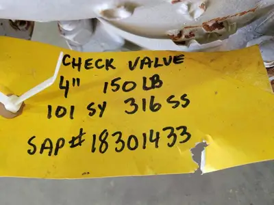 4", Class 150, Check Valve, B16.34