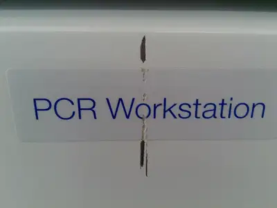 Fisherbrand/Labconco 3ft 3560002 HEPA PCR Workstation Laminar Flow w/UV Lighting