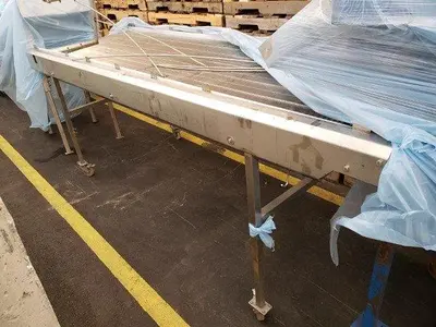 10' Wire Belt Inspection Conveyor