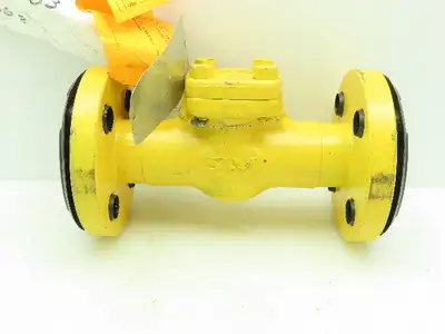 SWI A105N Steel Gate Check Valve 1" Flanged Raised Face Class 300# Monel Spiral