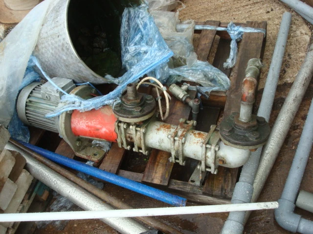 65 Lpm M/S Mono Merlin Pump Cdb1ag1r3