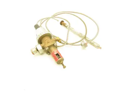 Armstrong OB-2000 P Temperature Regulator Valve with Sensor 131-201°F Set Point