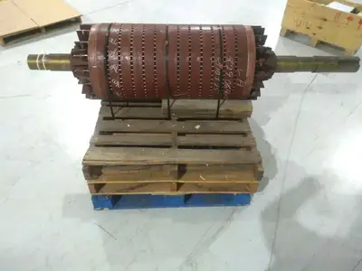 Rotor | US Motors  for 4000V 1250 HP Squirrel Cage Induction Motor - New Other