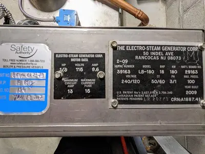 USED 2009 ELECTRO-STEAM GENERATOR CORP LB-180