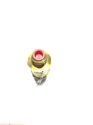 Mueller A 15504-400 Safety Master Relief Valve 1/2″ NPTFE