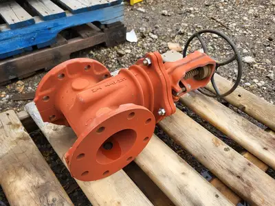 4" Gate Valve R2365, 250 PSI