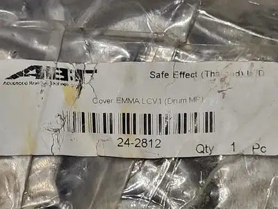 NEW SAFE EFFECT LTD. 24-2812
