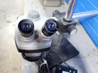 USED BAUSCH + LOMB 313615