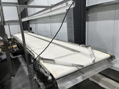 19ft Inspection Conveyor
