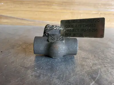 3/4" Class 800 Check Valve B16.34