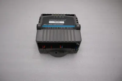 Giddings & Lewis M.1300.7372 R1 Input Module 24VDC SINK/SOURCE STOCK 5168A
