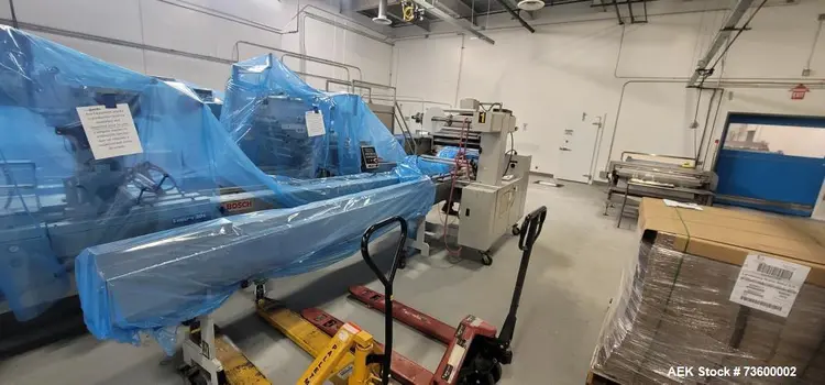 Used BOSCH LINIUM 301 Flow Wrappers Illinois US | Aaron Equipment #496329