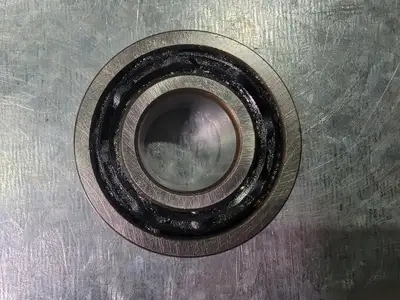 Double Row Deep Groove Ball Bearing 4203BTN