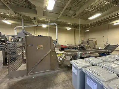 USED ALLEGHENY SORTING CONVEYOR WITH HLS-84848 GAYLORD TIPPER