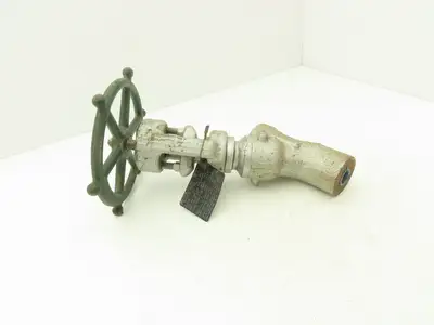Edward D36124 Univalve Globe Valve Y-Pattern 1/2" Socket Weld 1330psi Class 1690