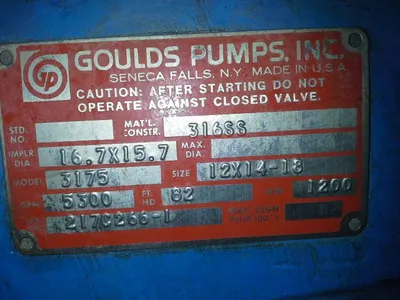 USED Goulds 3175