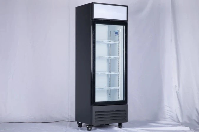 168-0029 AC SDGR 22'' Single Glass Door Self Contained Cooler