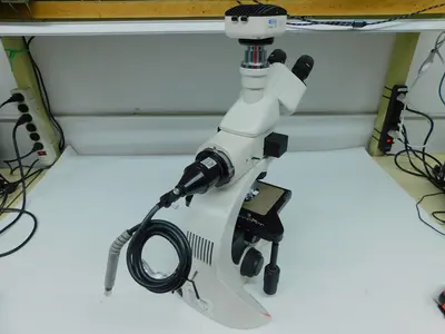 Used LEICA DM1000 Miscellaneous Laboratory Equipment Texas US | Aucto #1453333