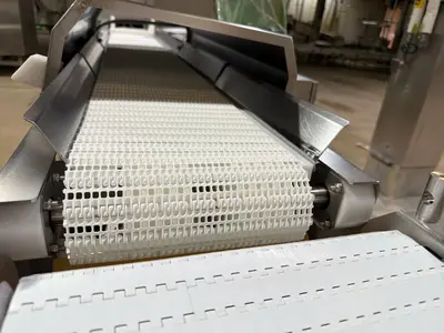 Used MAREL GRADING LINE Food Production Lines Illinois US | M&M Equipment Corp. #1336407