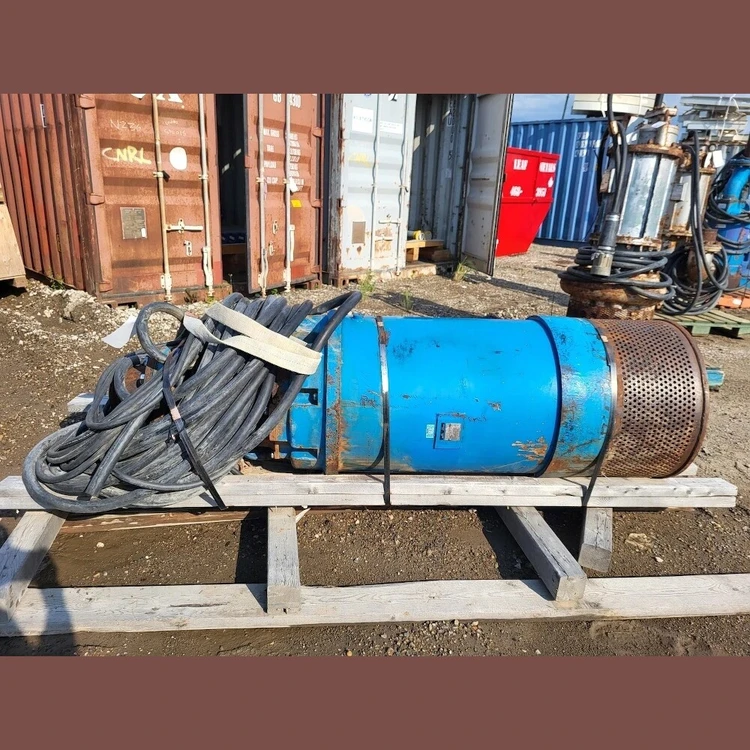 Used TOYO DXL 150H-1 Submersible Pumps | Savona Equipment LTD #1166907