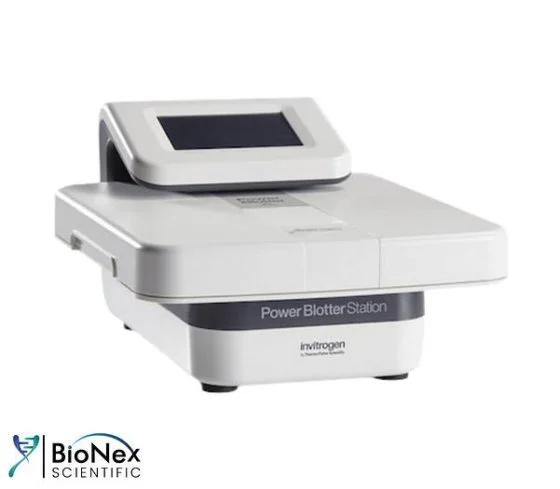 USED INVITROGEN POWER BLOTTER XL