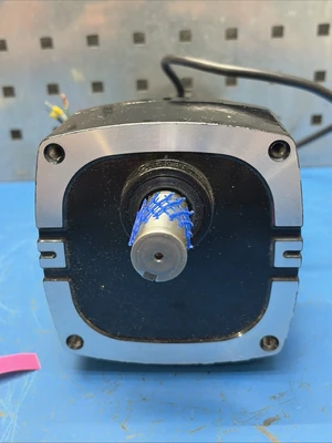 NEW Bodine 33A5BEPM-E3