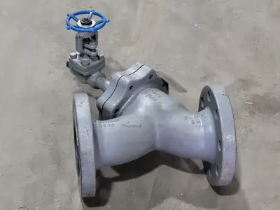 3" Fig 34 Y-Type Strainer w/ 3/4" Class 800 Gate Valve C-2054B-02TY