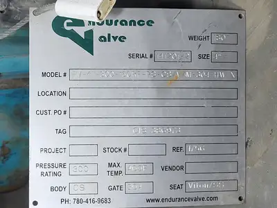 USED ENDURANCE VALVE FV-4-300-150RF-PS-CS/V/M-304-HW-X