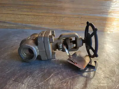 1" Class 800 Globe Valve B16.34