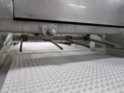 Triumph Cookie Wire-cut Machine
