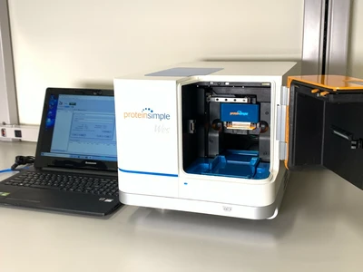 USED ProteinSimple WES