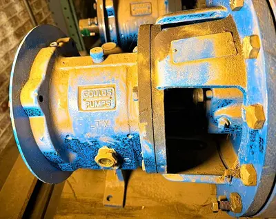 USED GOULD 3196