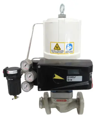 NEW FLOWSERVE 7325-2497-FV CONTROL VALVE 1" D3INU-D39PVA-ZPPM 73252497FV