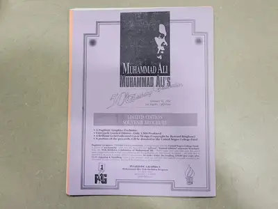 USED PUGILISTIC GRAPHICS FALL 1991